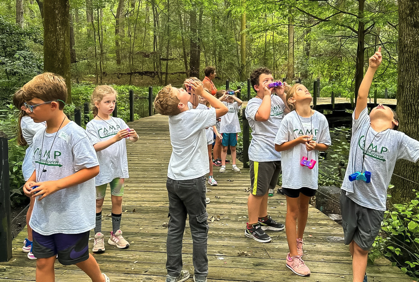 Camp Brookgreen for Kids - K to 12th Grade